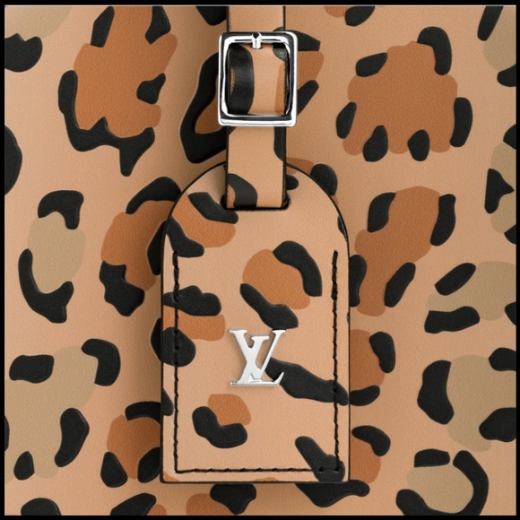 RARE Louis Vuitton Petite Boite Chapeau Bag - Picture 6 of 7